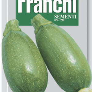 Two green zucchinis with a label reading 'Franchi Sementi'.